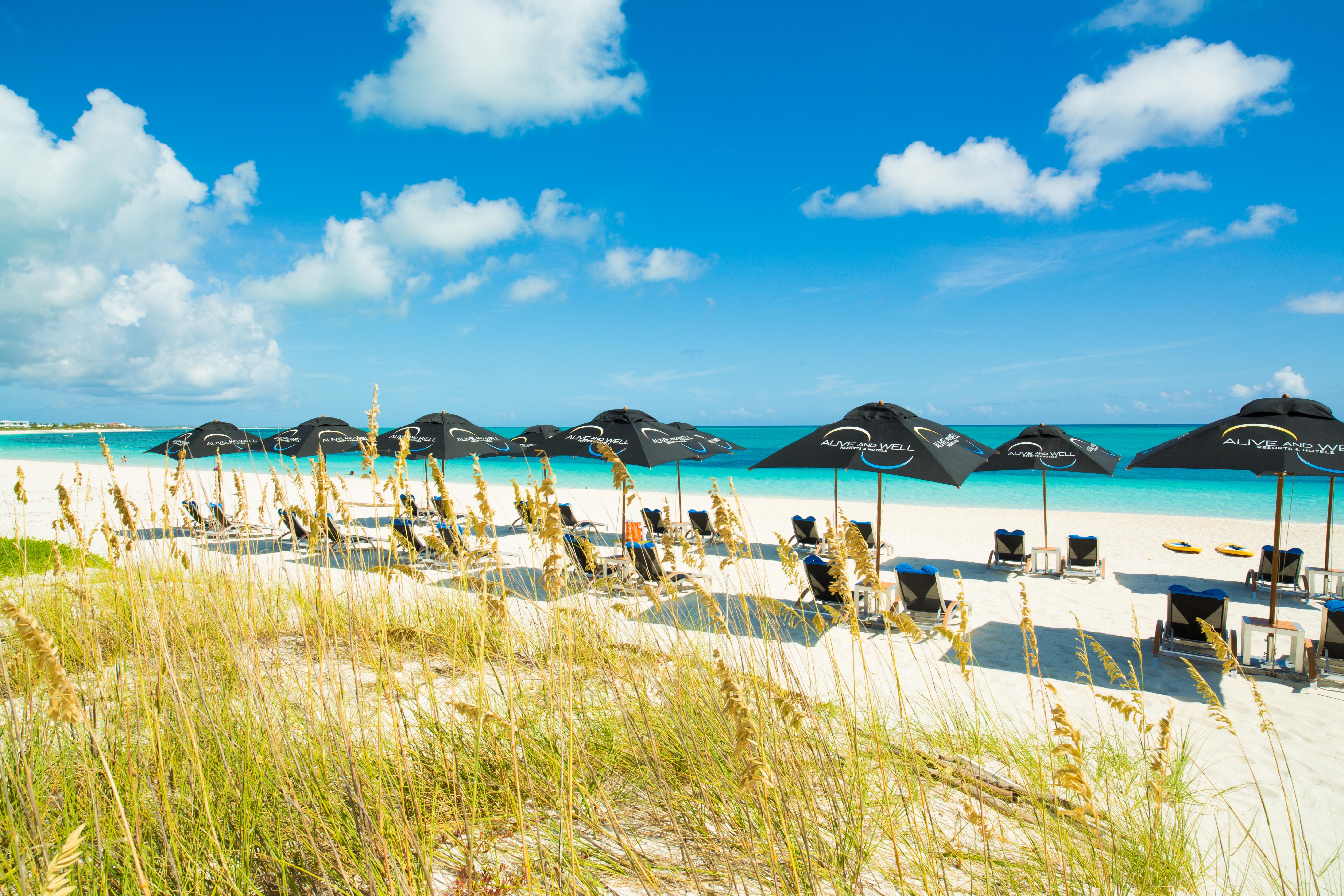 Turtle Cove One On Marlin Resort (Adults Only) מראה חיצוני תמונה