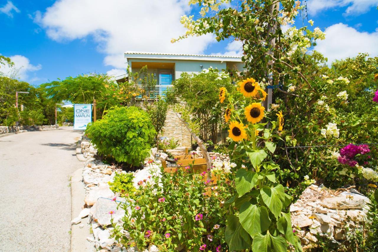 Turtle Cove One On Marlin Resort (Adults Only) מראה חיצוני תמונה